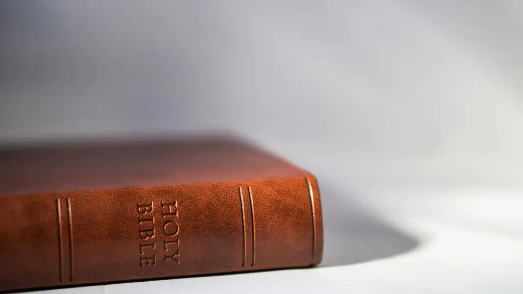 A close-up view of a brown leather-bound Holy Bible on a light gray background, emphasizing the embossed title on its spine. The image captures the texture of the leather and the simplicity of the background, focusing on the elegance and sanctity of the scripture.
